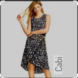 CAbi 5353 Dixson top small